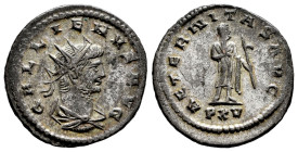 Gallienus. Antoninianus. 267 d.C. Antioch. (Ric-V 1, 606). (Mir-1662i). Anv.: GALLIENVS AVG, radiate, draped and cuirassed bust to right. Rev.: AETERN...