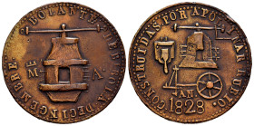 Ferdinand VII (1808-1833). Medal. 1828. Madrid. (Patrimonio-no cita). (H-no cita). Anv.: CONSTRUIDAS POR APOLINAR RUBIO. Rev.: BOLANTE DE BIROLADEGING...