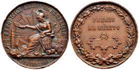 Centenary of the Peseta (1868-1931). Alfonso XII (1874-1885). Medal. 1880. Pontevedra. Anv.: EXPOSICION REGIONAL DE GALICIA. Rev.: PREMIO / AL MÉRITO....