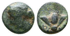 Greek Coins. 4th - 3rd century B.C. AE Reference: 

Condition: Very Fine

 Weight: 1.2 gr Diameter: 9.9 mm