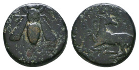 Greek Coins. 4th - 3rd century B.C. AE Reference: 

Condition: Very Fine

 Weight: 2.1 gr Diameter: 12.2 mm