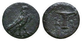 Greek Coins. 4th - 3rd century B.C. AE Reference: 

Condition: Very Fine

 Weight: 0.6 gr Diameter: 9.8 mm