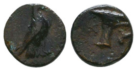 Greek Coins. 4th - 3rd century B.C. AE Reference: 

Condition: Very Fine

 Weight: 1 gr Diameter: 9.7 mm