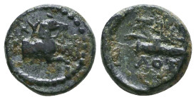 Greek Coins. 4th - 3rd century B.C. AE Reference: 

Condition: Very Fine

 Weight: 2.3 gr Diameter: 12.7 mm