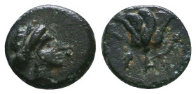 Greek Coins. 4th - 3rd century B.C. AE Reference: 

Condition: Very Fine

 Weight: 1.1 gr Diameter: 11 mm