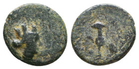 Greek Coins. 4th - 3rd century B.C. AE Reference: 

Condition: Very Fine

 Weight: 1.4 gr Diameter: 12.7 mm