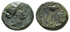 Greek Coins. 4th - 3rd century B.C. AE Reference: 

Condition: Very Fine

 Weight: 2.6 gr Diameter: 12.6 mm