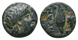 Greek Coins. 4th - 3rd century B.C. AE Reference: 

Condition: Very Fine

 Weight: 1.3 gr Diameter: 10.5 mm