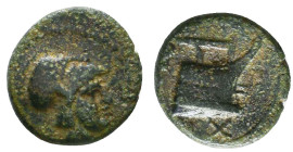 Greek Coins. 4th - 3rd century B.C. AE Reference: 

Condition: Very Fine

 Weight: 1.6 gr Diameter: 11.9 mm