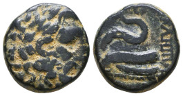 Greek Coins. 4th - 3rd century B.C. AE Reference: 

Condition: Very Fine

 Weight: 7.7 gr Diameter: 18.5 mm