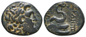 Greek Coins. 4th - 3rd century B.C. AE Reference: 

Condition: Very Fine

 Weight: 5.3 gr Diameter: 20 mm