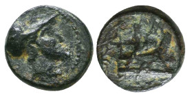 Greek Coins. 4th - 3rd century B.C. AE Reference: 

Condition: Very Fine

 Weight: 1.6 gr Diameter: 10.9 mm