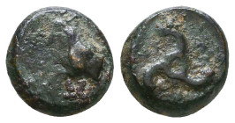Greek Coins. 4th - 3rd century B.C. AE Reference: 

Condition: Very Fine

 Weight: 1.8 gr Diameter: 10.7 mm