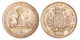 Nederland. Bergen op Zoom. 1881. Penning voor de tentoonstelling van landbouw, tuinbouw en veeteelt van het arrondissement Breda.
Ar. 41,73 mm. 31,37...