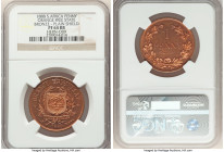 Orange Free State. Republic bronze Proof Pattern Penny 1888 PR64 Red and Brown NGC, Berlin mint, KMX-Pn7, Hern-09. Plain shield variety struck in Bron...