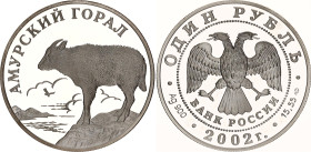 Russian Federation 1 Rouble 2002 СПМД
Y# 758; Schön# 721; N# 46136; Silver; Red Book - Amur Goral; St. Petersburg Mint; Mintage 10'000; Proof.
