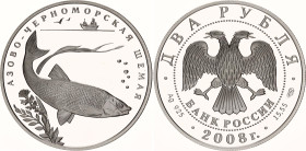 Russian Federation 2 Roubles 2008 СПМД
Y# 980; Schön# 1040; N# 61057; Silver; Red Book - Shemaya-Fish; St. Petersburg Mint; Mintage 12'500; Proof....