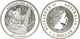 Australia 1 Dollar 2013
KM# 1979, N# 42672; Silver; Koala; UNC.