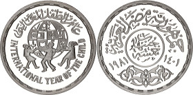 Egypt 5 Pounds 1981 AH 1401
KM# 533, N# 24334; Silver., Proof; International Year of the Child; Mintage 10000 pcs.