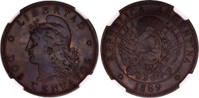 Argentina 2 Centavos 1889 NGC UNC
KM# 33, N# 2220; Bronze; NGC UNC Det. cleaned.