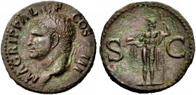 RÖMISCHE MÜNZEN 
 KAISERZEIT 
 Agrippa, †12 v. Chr. 
 As, postum, unter Caligula (37-41), Ein zweites Exemplar. 10,77 g. BN 69,77, C. 3, RIC 112,58...