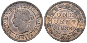 Kanada / Kanada 1886 1 Cent in Bronce KM 7 seltene Erhaltung fast FDC