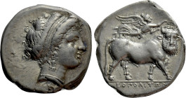 CAMPANIA. Neapolis. Nomos (Circa 320-300 BC)