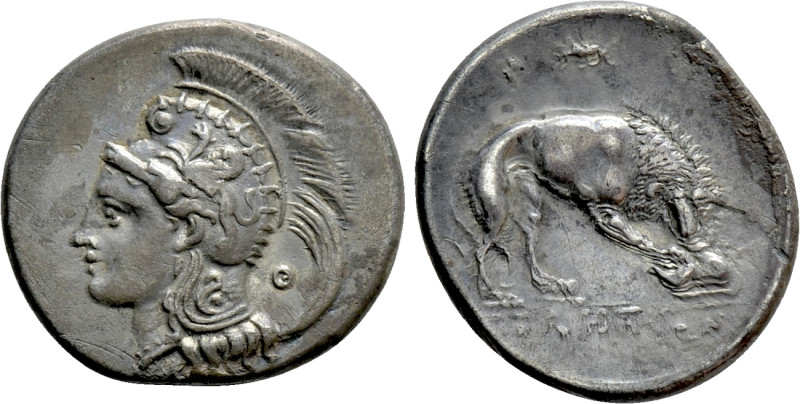 LUCANIA. Velia. Nomos (Circa 300-280 BC). 

Obv: Head of Athena left, wearing ...