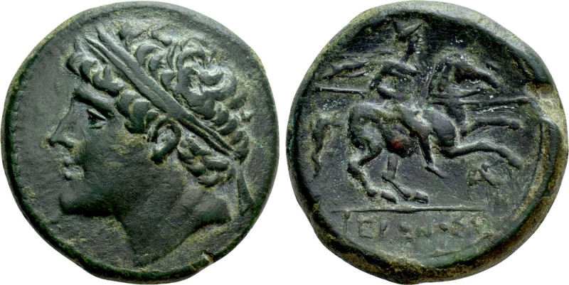 SICILY. Syracuse. Hieron II (275-215 BC). Ae. 

Obv: Diademed head left.
Rev:...