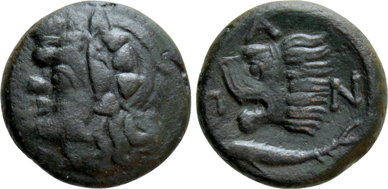 CIMMERIAN BOSPOROS. Pantikapaion. Ae (Circa 310-304/3 BC). 

Obv: Head of saty...