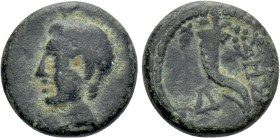 THRACE. Sestos. Ae (3th century BC)