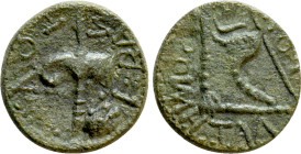 KINGS OF THRACE (Sapean). Rhoemetalkes I with Augustus (Circa 11 BC-12 AD). Ae