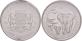 SOMALIA. 2000 Shillings 2015 Elefante. AG .999 (1 kg). Capsula danneggiata.
FDC