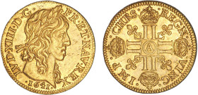 LOUIS XIII le Juste (1610-1643)
Louis d'or à la croix & à la mèche longue
1641 A - SPL 60 (SUP+)
Rare ! - infime paillage


DR 16, D 1298, GR 58...