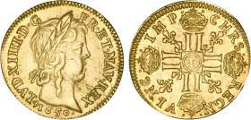 LOUIS XIV le Grand (1643-1715)
Louis d'or à la croix & à la mèche longue
1650 T - TTB 45 (TTB++)
Très Rare !! - frappe médaille


DR 206, D 1422...
