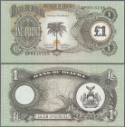 Biafra: One Pound der Bank of Biafra ca. 1968 mit vs. Abbildung einer Palme und rs. Wappen, bankfrisch
 [differenzbesteuert]
Gebotslos, Zuschlag zum...