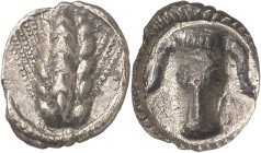 (470-440 a.C.). Italia. Metaponto. Trióbolo. (S. 239 var) (CNG. I, 1071). 1,08 g. MBC+.