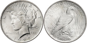 Estados Unidos. 1923. Filadelfia. 1 dólar. (Kr. 150). AG. 26,71 g. EBC+.
