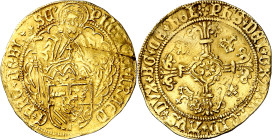 s/d (1499-1506). Felipe el Hermoso. Dordrecht. 1 florín de San Felipe. (Vanhoudt 146.DO) (Delmonte 756). Ligero doblez. Rara. 3,32 g. MBC.