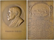 Nürnberg, Stadt. Weitere Marken und Medaillen. Bronzeplakette 1913 von Richard Placht, auf das 150-jährige Jubiläum der Firma Theodor Theyer. Das Brus...
