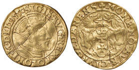 POLONIA Sigismondo II (1548-1572) Ducato 1550 - Kopicki 7373 AU (g 3,12) RRRR Ondulazione e frattura del tondello. Mildly undulating and cracked flan....