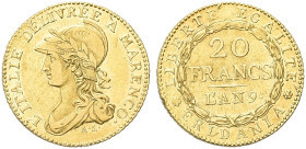 TORINO. Repubblica Subalpina, 1800-1802 
20 Franchi an. 9 ‘A MARENCO (1800-1801). Au gr. 6,42 Simile a precedente. Pag. 3; Gig. 1; Fried. 1172.
Rara...