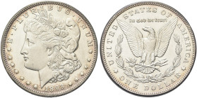 USA. Federazione 
Dollaro 1893, zecca di Philadelphia. Ag gr. 26,68 Come precedente. KM#110.
SPL