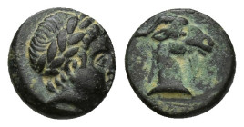 AEOLIS. Aigai. (4th-3rd centuries BC). Ae. (8mm, 0.8 g) Obv: Laureate head of Apollo right. Rev: Head of goat right.