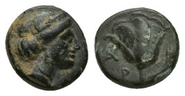 CARIA. Rhodes. Ae (9mm, 1.4 g) (404-circa 385 BC). Obv: Head of nymph of Rhodes right. Rev: P - O. Rose with buds to left and right.