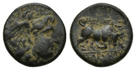 Seleukid Kings, Seleukos I (312-281 BC). Æ (14mm, 2.8 g). Seleukeia. Winged head of Medusa r. R/ Bull butting r.; monogram between back legs.