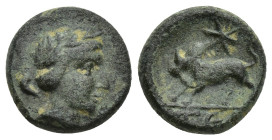 Greek (13mm, 3.5 g)
