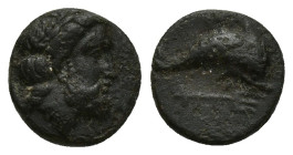 CARIA. Myndos. Ae (19mm, 1.3 g) (386-300 BC) Obv: Laureate head of Poseidon right. Rev: MY. Dolphin swimming right; below, trident right.