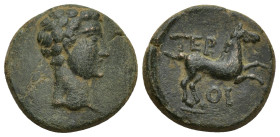 PISIDIA, Termessus Major. Tiberius. AD 14-37. Æ (19mm, 5 g). Bare head right / TEP, horse rearing right; OI below.