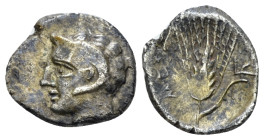 Lucania, Metapontum Diobol circa 300-250 (Starting Bid £ 40 *)